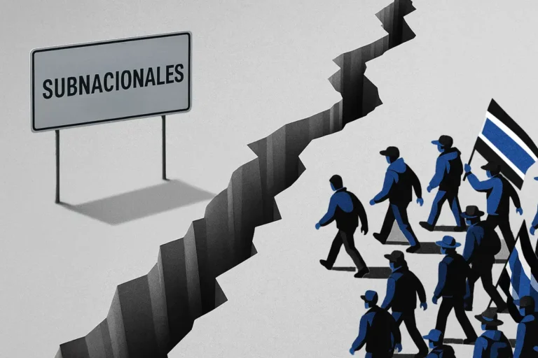 Ilustración de un grupo de personas del MAS en camino a un letrero que dice: Subnacionales. En el medio, un barranco con el que tienen que lidear.