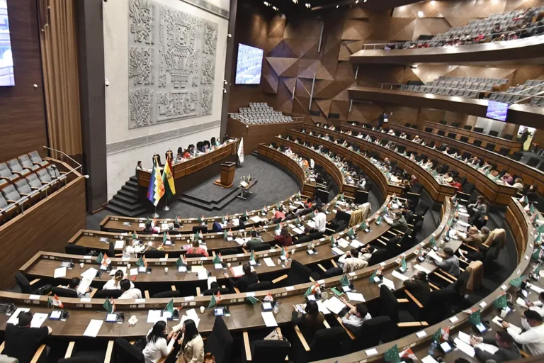 Cámara de diputados