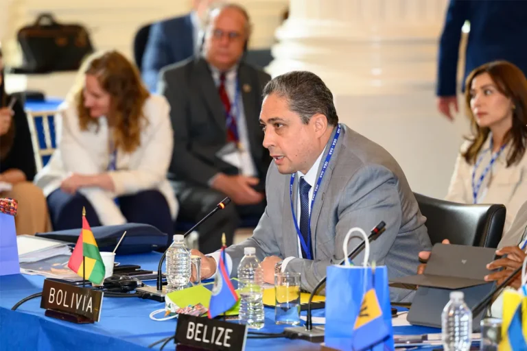 Arce hablando en Asamblea de la OEA