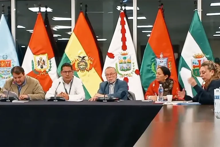 Comisión Mixta de Constitución