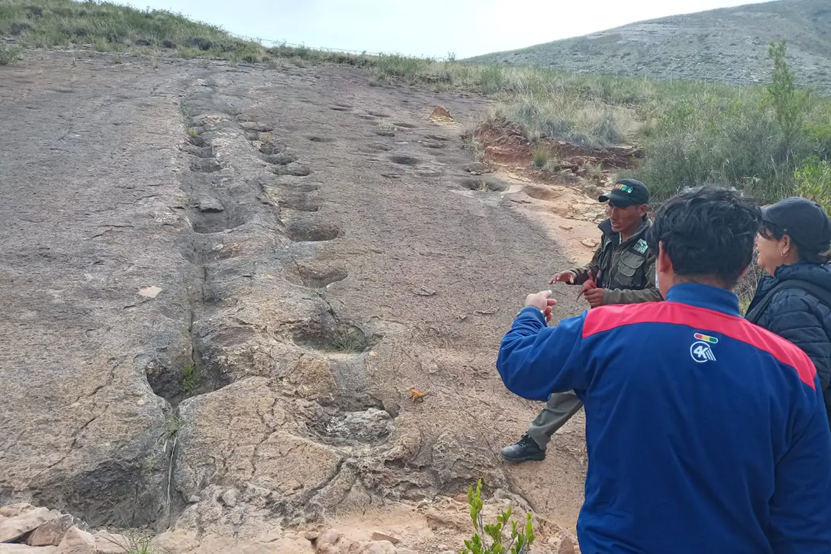 Huellas de dinosaurio Toro Toro