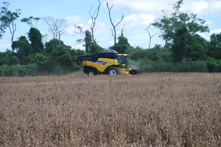 Un tractor cosechando soya