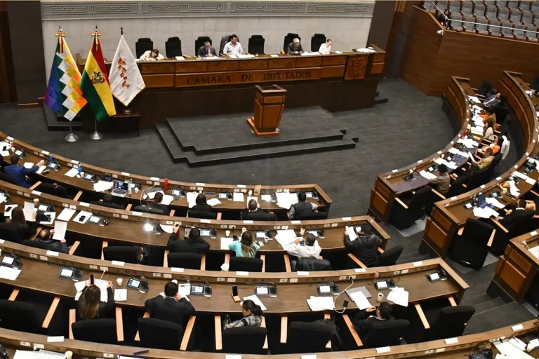 Cámara de diputados