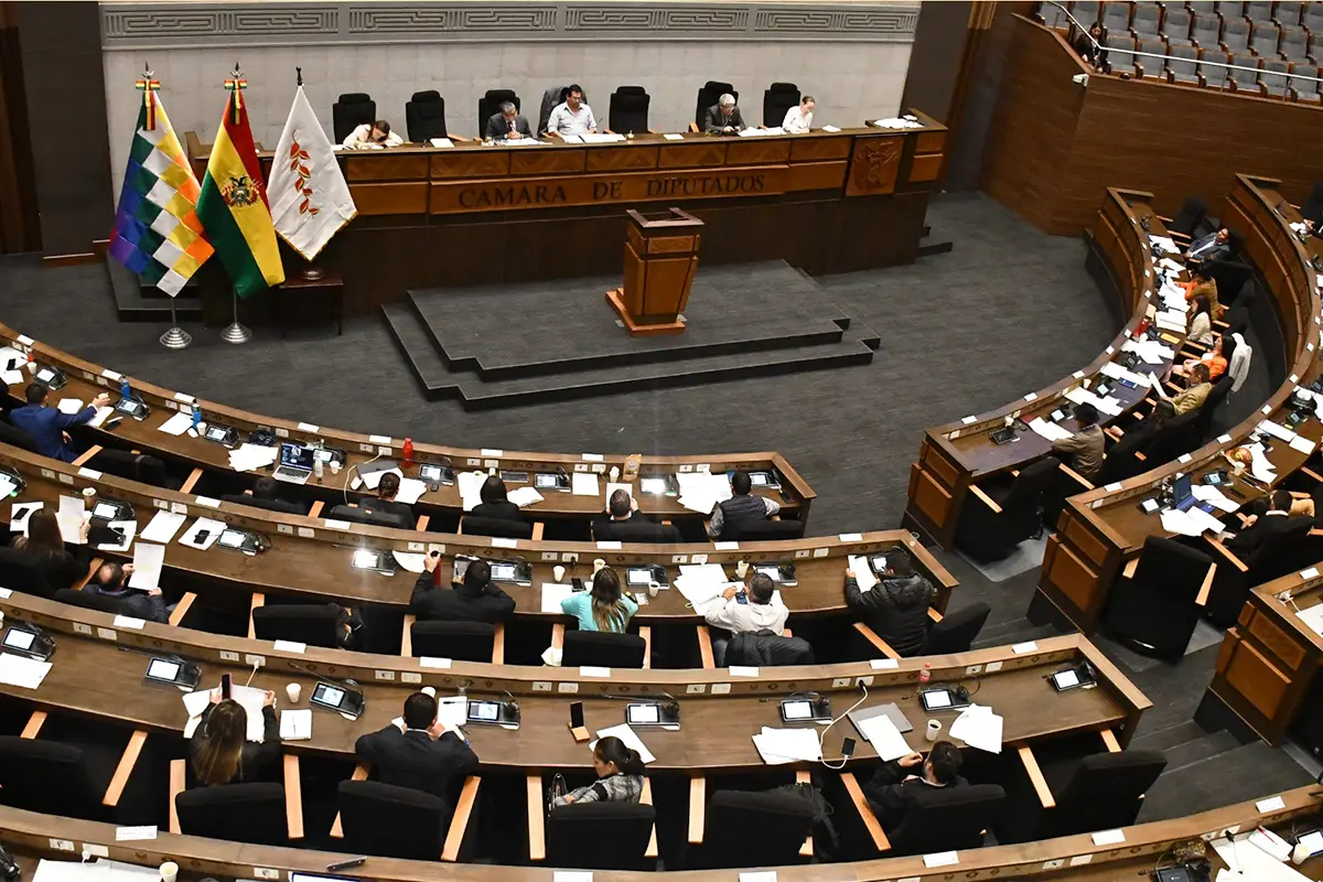 Cámara de diputados