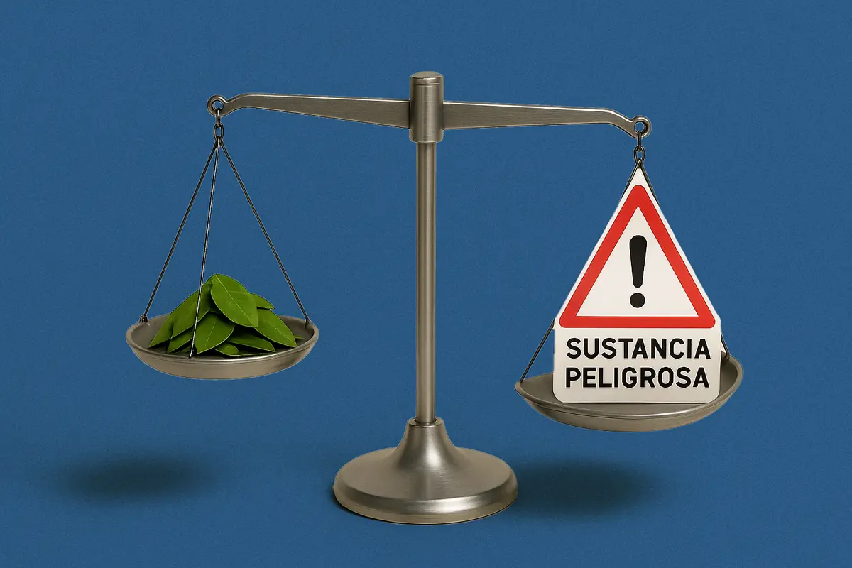 Hola de coca peligrosa