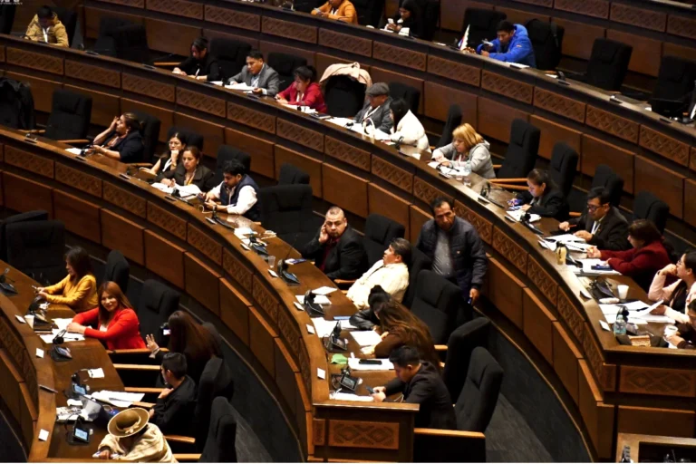 Diputados inician tratamiento de ternas para elegir vocales del TED de 6 departamentos