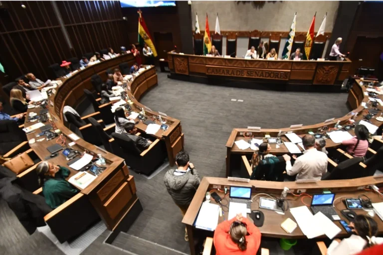 Senado sanciona créditos por $us 580 millones y remite al Ejecutivo para su promulgación