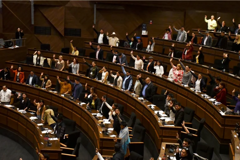 El Gobierno enviará a la Asamblea un proyecto de ley de inversiones tras abrogar el DS 5503