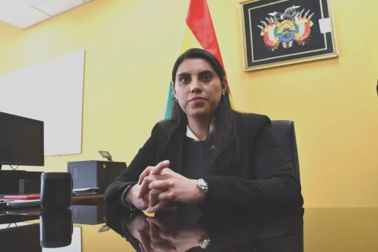 Gobierno anuncia modificaciones de forma en 35 artículos del DS 5503