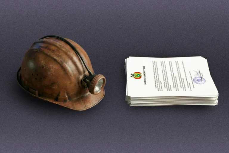 COB Decreto Supremo 5503