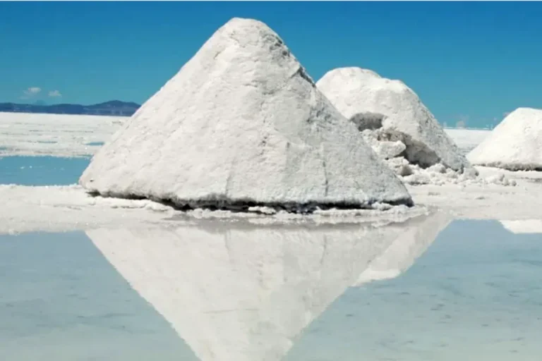 Comcipo pide la anulación total de los convenios por el litio