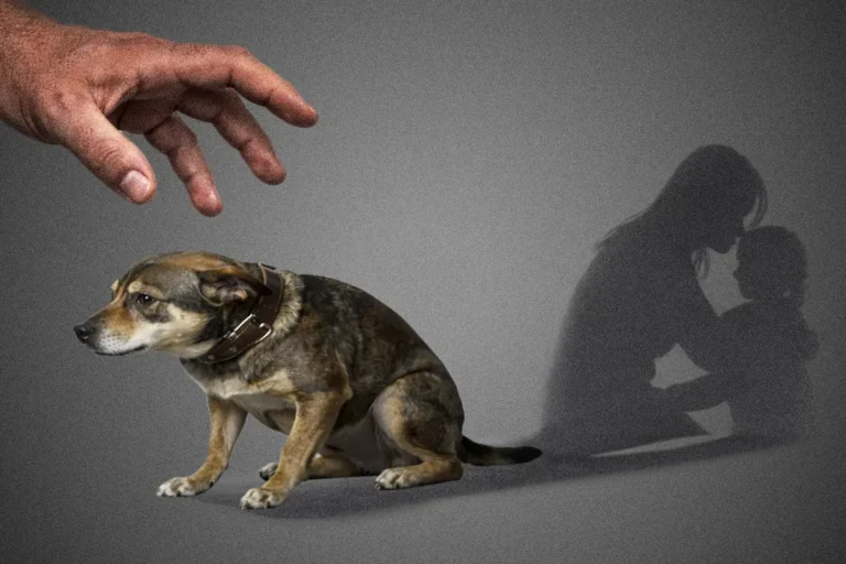 Maltrato animal señala riesgo de violencia contra mujeres y niños