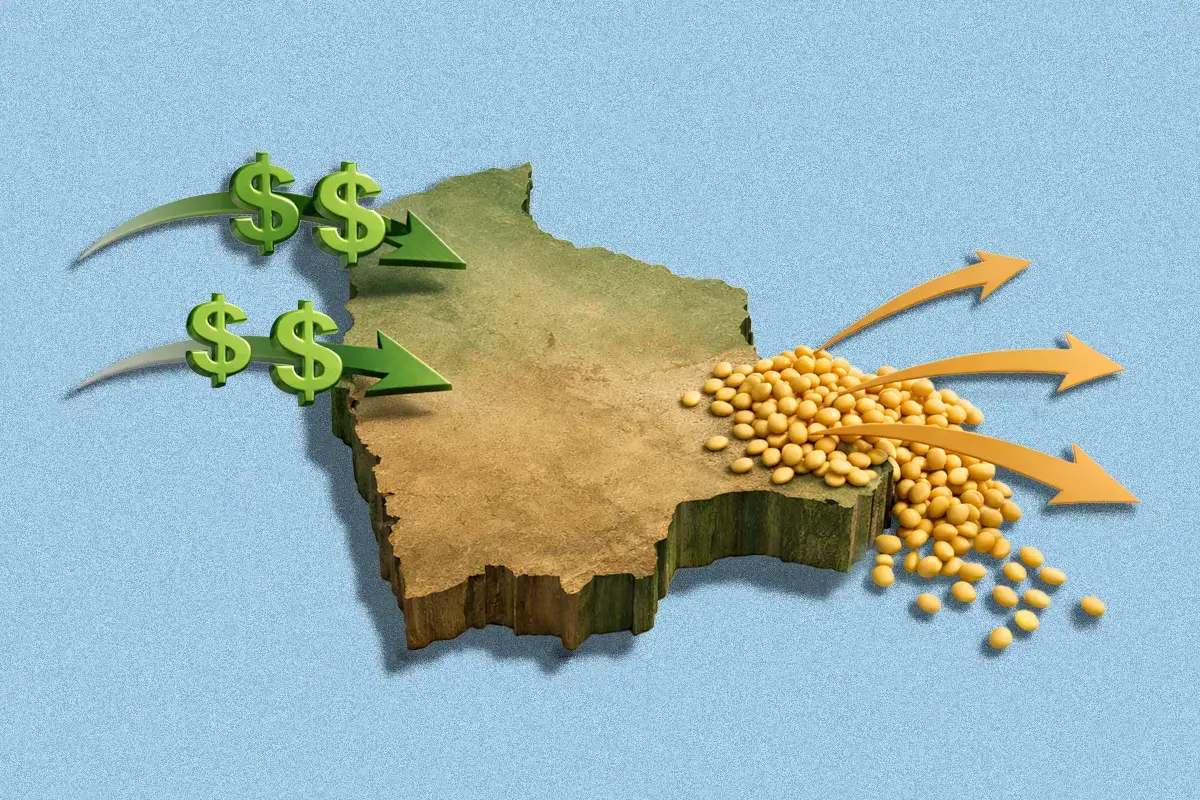 Exportación de soya ingreso de divisas.