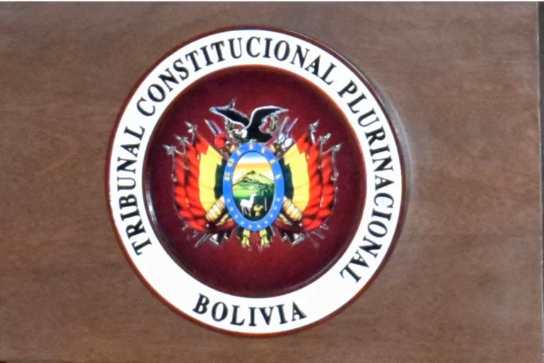 El TCP ratifica la pérdida de personería de ADN y se espera el fallo sobre UCS