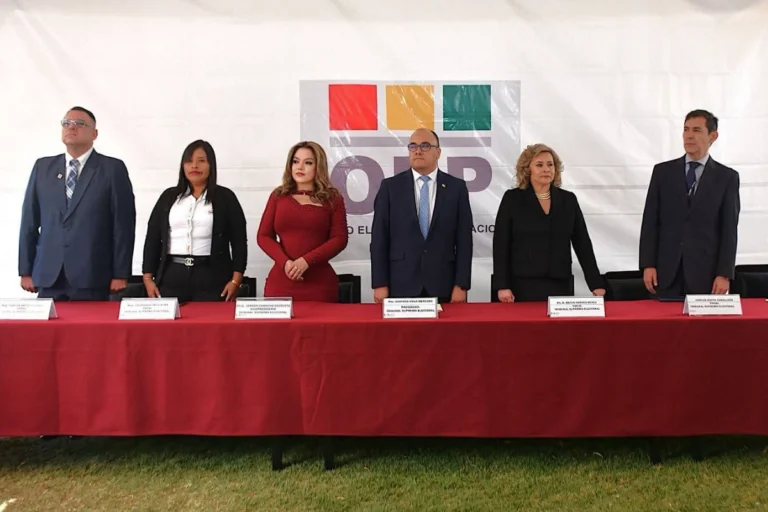 El TSE definirá en reunión nacional el plazo de sustitución de candidaturas en las subnacionales