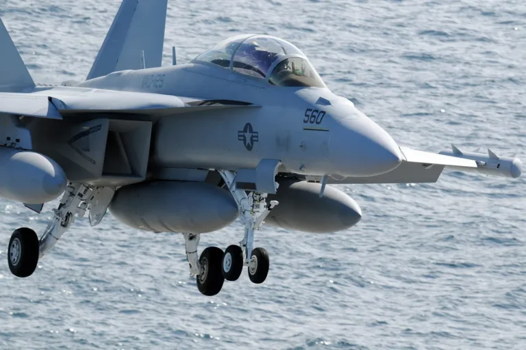 Avión de combate: EA-18G Growler
