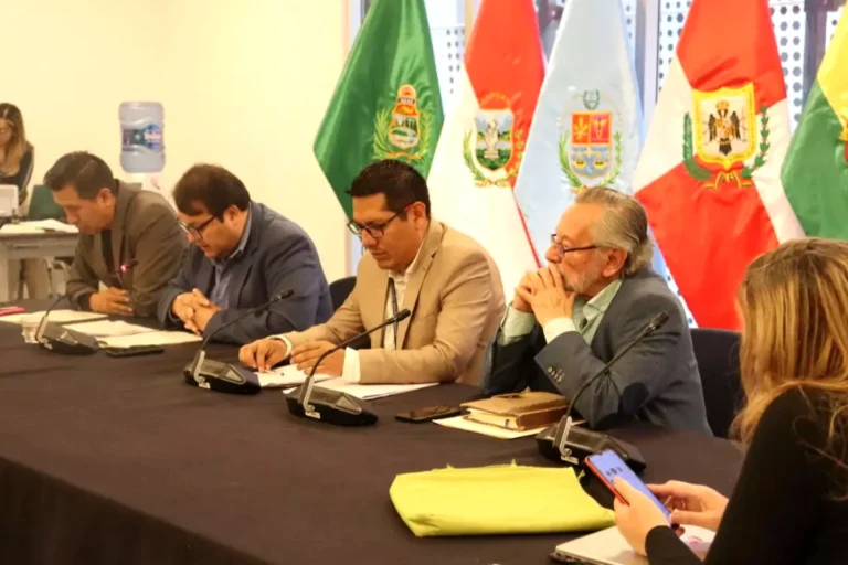 Diputados avanzan con ley corta para que TCP funcione con cuatro magistrados