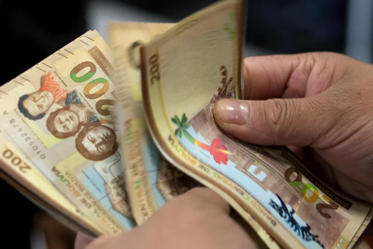 Gobierno confirma que el pago del bono PEPE comenzará el 26 de enero