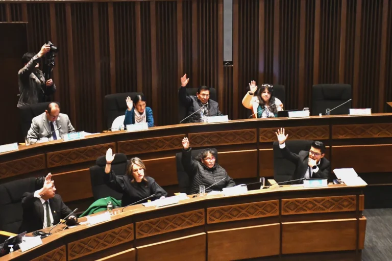 El Senado aprueba conformar una comisión integrada para tratar la ley antibloqueos