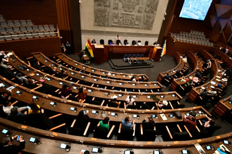 Asamble Legislativa Plurinacional