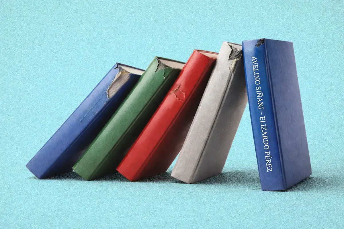 Modelo educativo del MAS