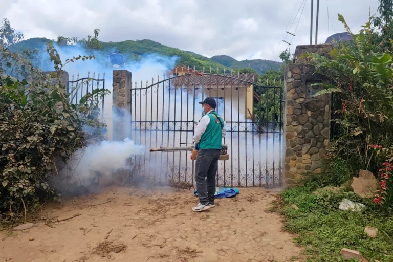 Santa Cruz: Confirman 4 muertos por Chikungunya y el grado de positividad llega al 65%