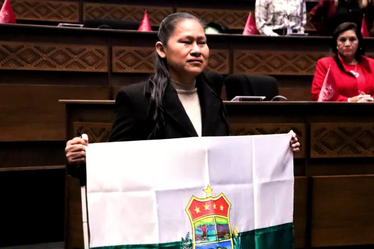 Diputados pone a prueba la inclusión; ¿Aida Tuchani, avance real o vitrina política?