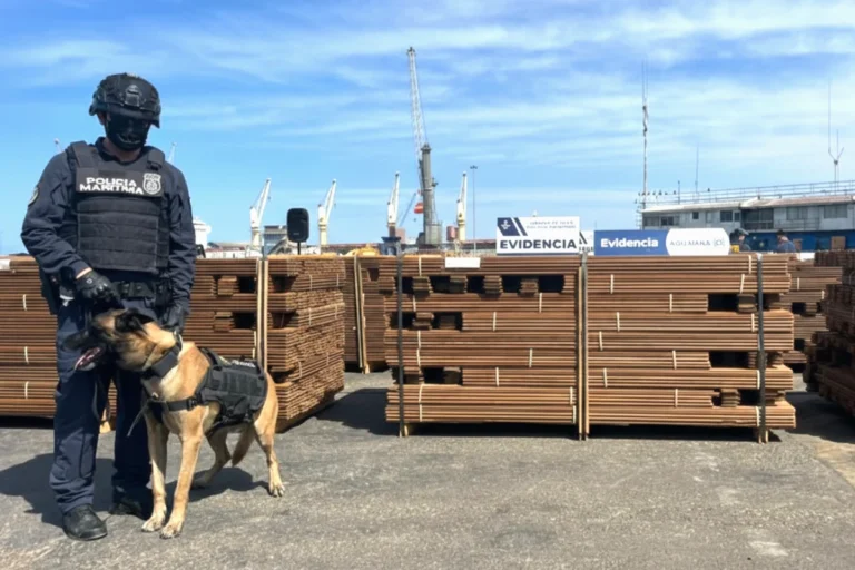 Fiscalía allana las oficinas del Senasag por nexos con un cargamento de droga incautada en Chile