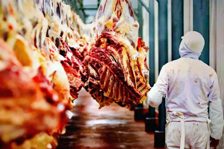Tras apertura de Paraguay, Bolivia gestiona exportación de carne a otros 8 mercados