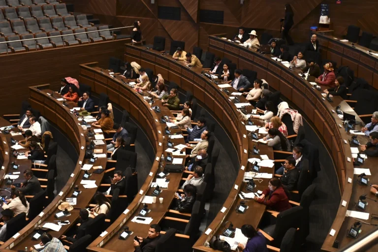 Imagen de la ALP en La Paz.