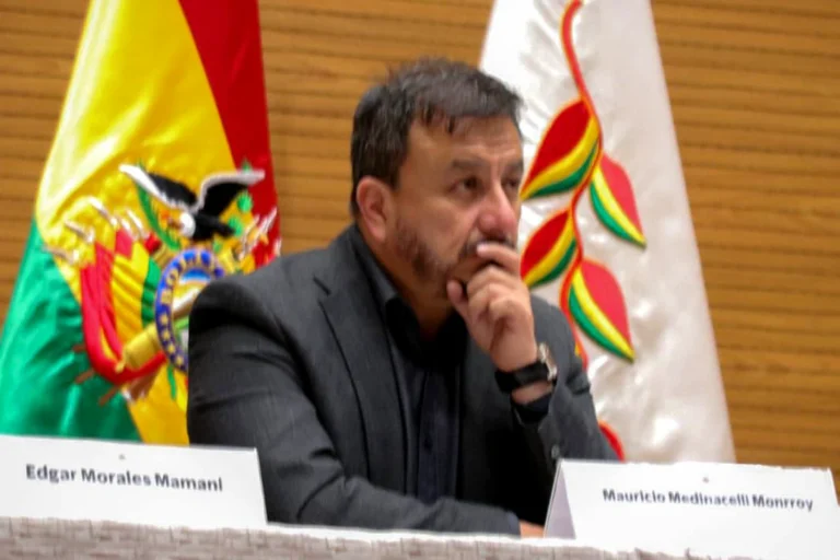 Medinaceli asistirá al Senado para informar sobre calidad de combustibles