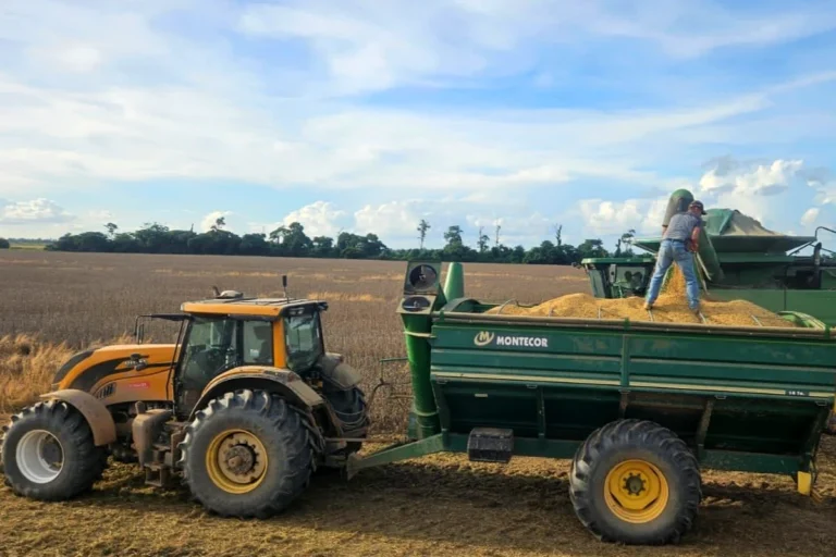 Gobierno ratifica el fin del arancel cero para la importación de soya