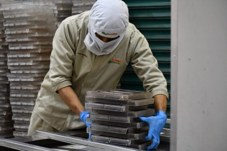 La economía boliviana cierra el 2025 con caída de 1,58% y bajo dinamismo productivo