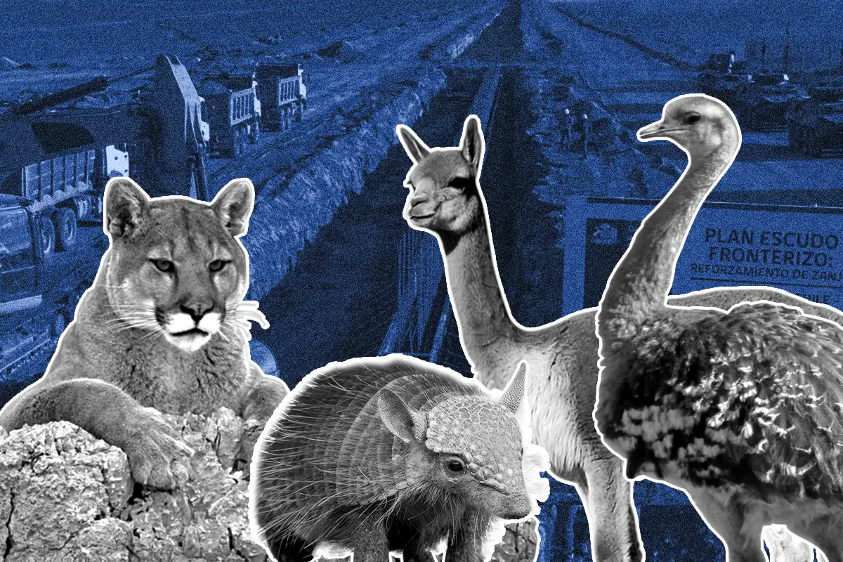 Zanjas en frontera con Chile