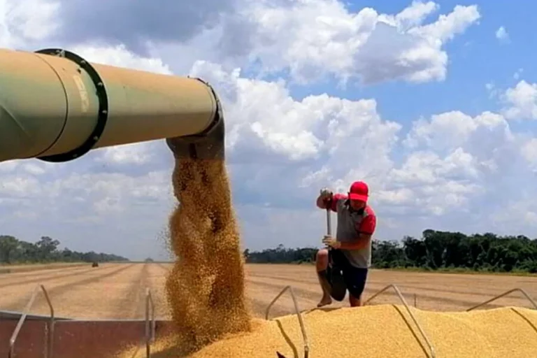 Exportaciones de soya suben 36% a febrero por mayor dinamismo externo