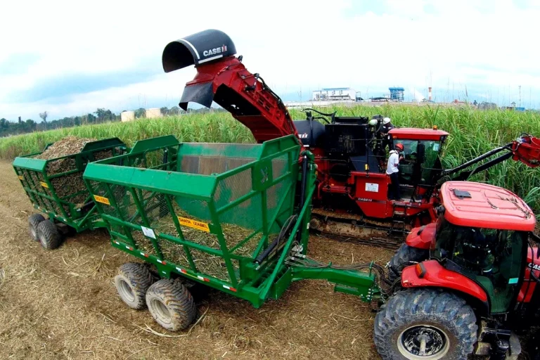 ¿Qué es la Ley 1720 y qué hay detrás del conflicto por tierras y créditos?