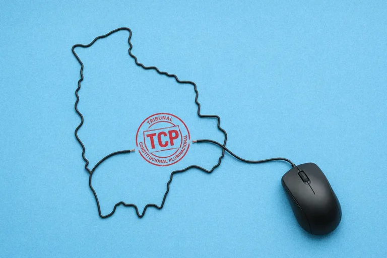 Telegobierno en riesgo: el decreto que evitó el traspaso de mando entra en revisión