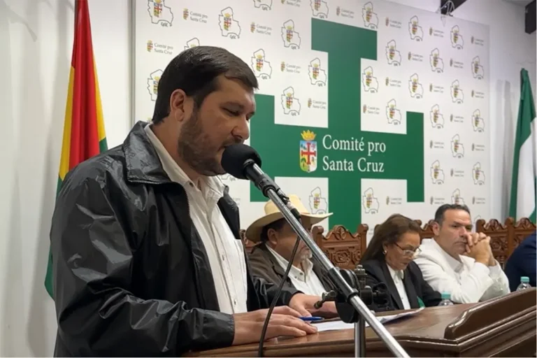 Comité pro Santa Cruz