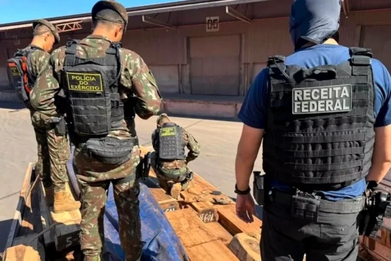 Cocaína oculta en madera: el caso que vuelve a poner bajo la lupa las exportaciones bolivianas