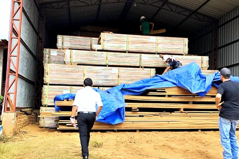 De Arica a Pando: cómo 108 toneladas de droga sacuden a Bolivia