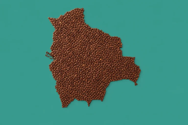 El café boliviano nunca valió tanto: la oportunidad que no deberíamos desperdiciar