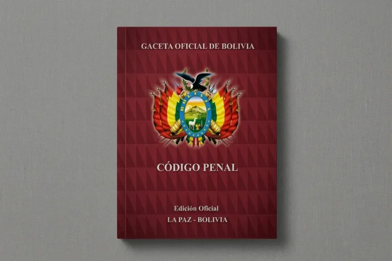 Los principales delitos de la denuncia del Comité pro Santa Cruz, explicados uno por uno