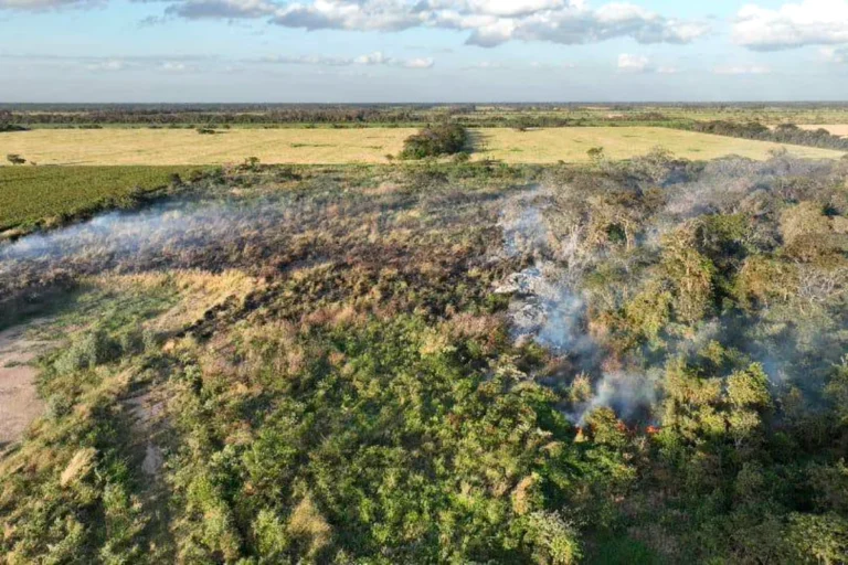 Chaqueo, sequía y viento, los factores detrás del retorno del fuego cada invierno