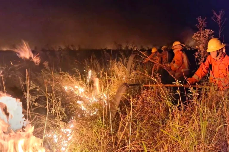 Autoridades atribuyen a quemas humanas los incendios en tres regiones