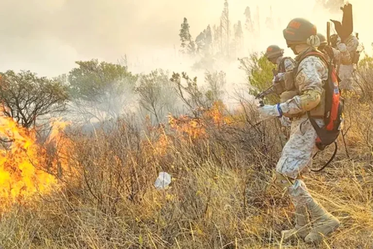 Bolivia refuerza respuesta ante incendios y 1.611 focos de calor