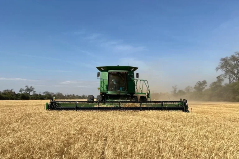 Cerrar o reordenar Emapa: el dilema que también toca a productores