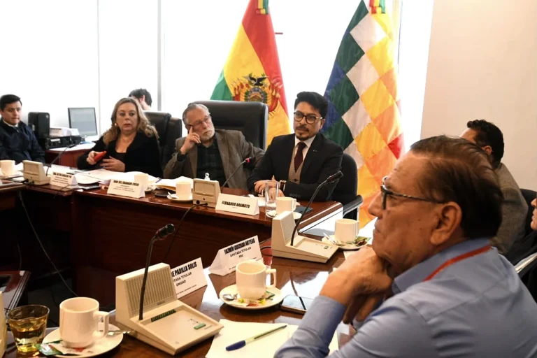 El canciller Aramayo comparece ante Diputados por la demora en la designación de embajadores