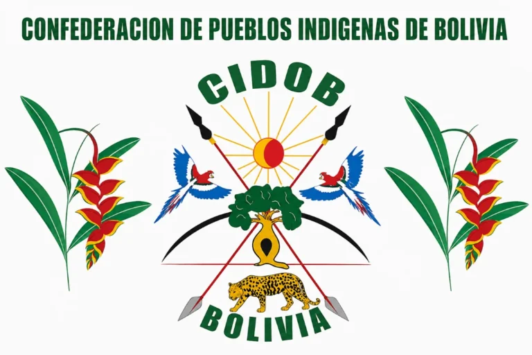 CIDOB da al Gobierno 15 días por la reforma minera