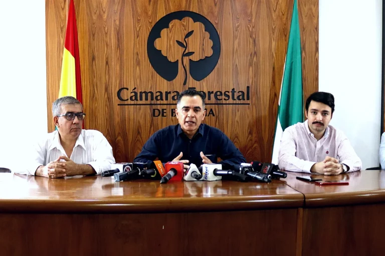 Análisis de cargas forestales retenidas no detectan droga
