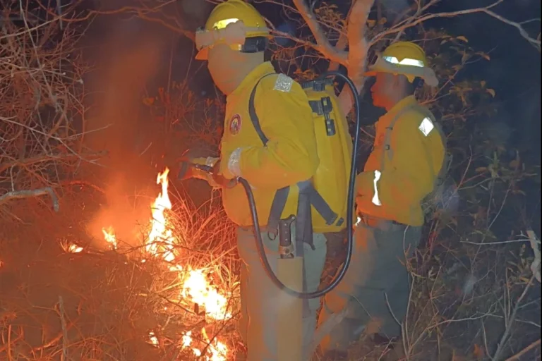 Tarija controla el incendio iniciado el jueves mientras Santa Cruz mantiene la alerta roja